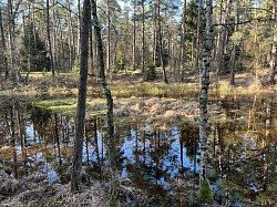 Moor Wald Deutsch-Evern