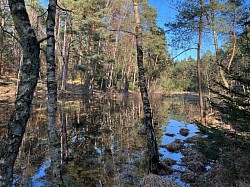 Moor Wald Deutsch-Evern