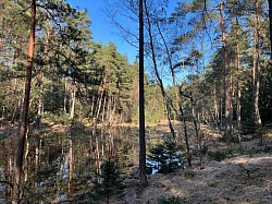 Moor Wald Deutsch-Evern