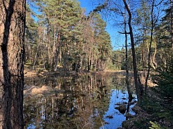 Moor Wald Deutsch-Evern