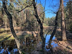 Moor Wald Deutsch-Evern