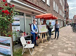 Infostand Marktplatz