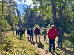 Deutsche Waldtage