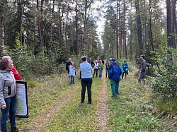 Deutsche Waldtage